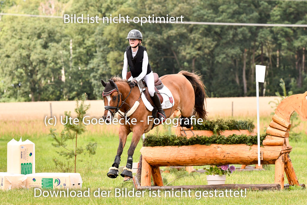 Goldene Schärpe Ponys in Hohenberg Krusemark 2024 | 13072024 Gelände 1 Abt_626