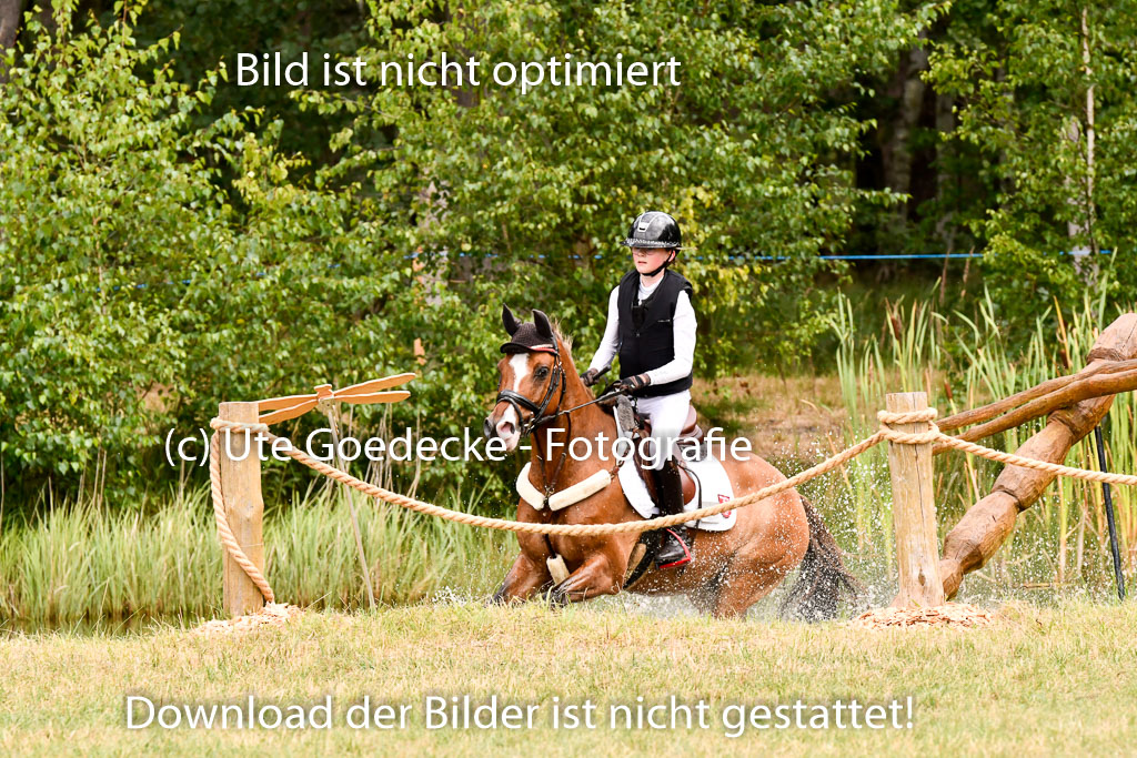 Goldene Schärpe Ponys in Hohenberg Krusemark 2024 | 13072024 Gelände 1 Abt_627