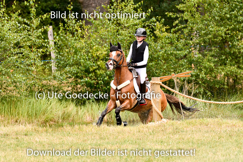 Goldene Schärpe Ponys in Hohenberg Krusemark 2024 | 13072024 Gelände 1 Abt_628