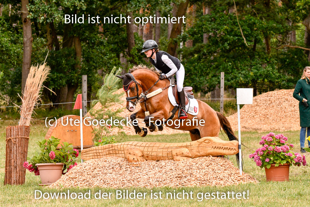 Goldene Schärpe Ponys in Hohenberg Krusemark 2024 | 13072024 Gelände 1 Abt_630