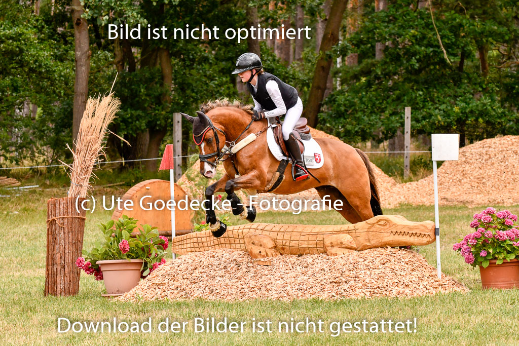 Goldene Schärpe Ponys in Hohenberg Krusemark 2024 | 13072024 Gelände 1 Abt_631