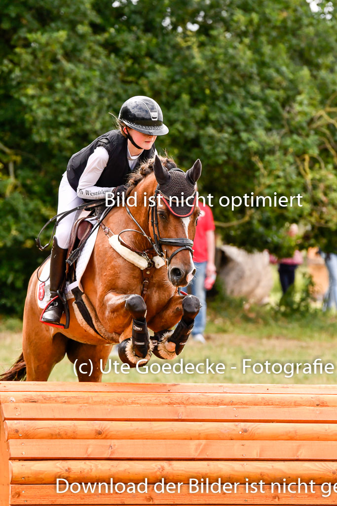 Goldene Schärpe Ponys in Hohenberg Krusemark 2024 | 13072024 Gelände 1 Abt_634
