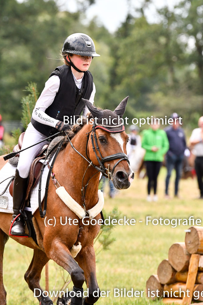 Goldene Schärpe Ponys in Hohenberg Krusemark 2024 | 13072024 Gelände 1 Abt_636