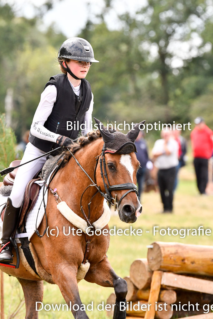 Goldene Schärpe Ponys in Hohenberg Krusemark 2024 | 13072024 Gelände 1 Abt_637