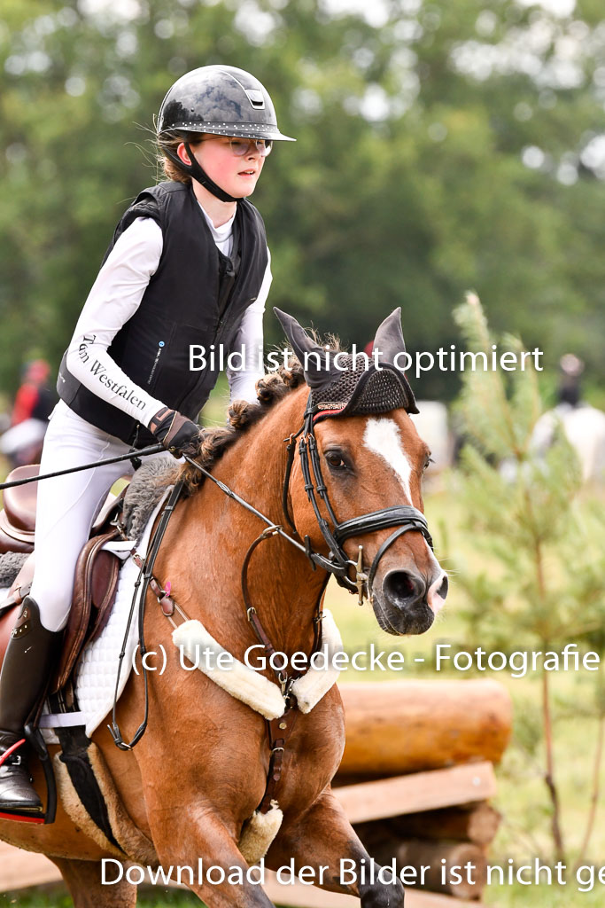 Goldene Schärpe Ponys in Hohenberg Krusemark 2024 | 13072024 Gelände 1 Abt_638