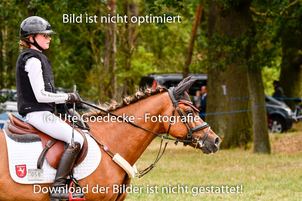 Goldene Schärpe Ponys in Hohenberg Krusemark 2024 | 13072024 Gelände 1 Abt_639