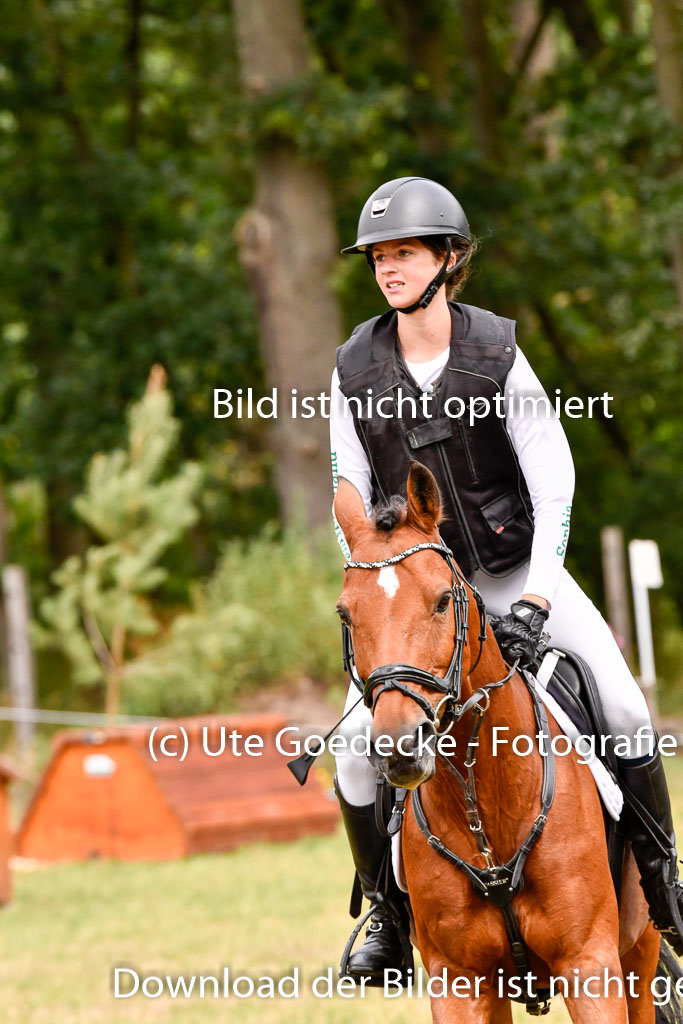 Goldene Schärpe Ponys in Hohenberg Krusemark 2024 | 13072024 Gelände 1 Abt_640