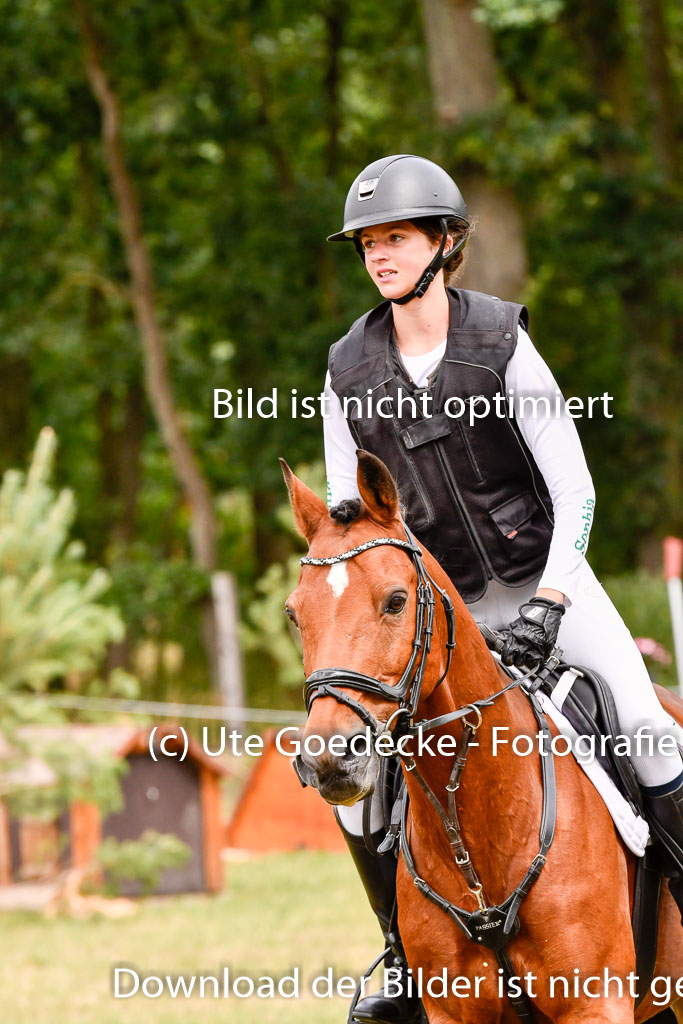Goldene Schärpe Ponys in Hohenberg Krusemark 2024 | 13072024 Gelände 1 Abt_641