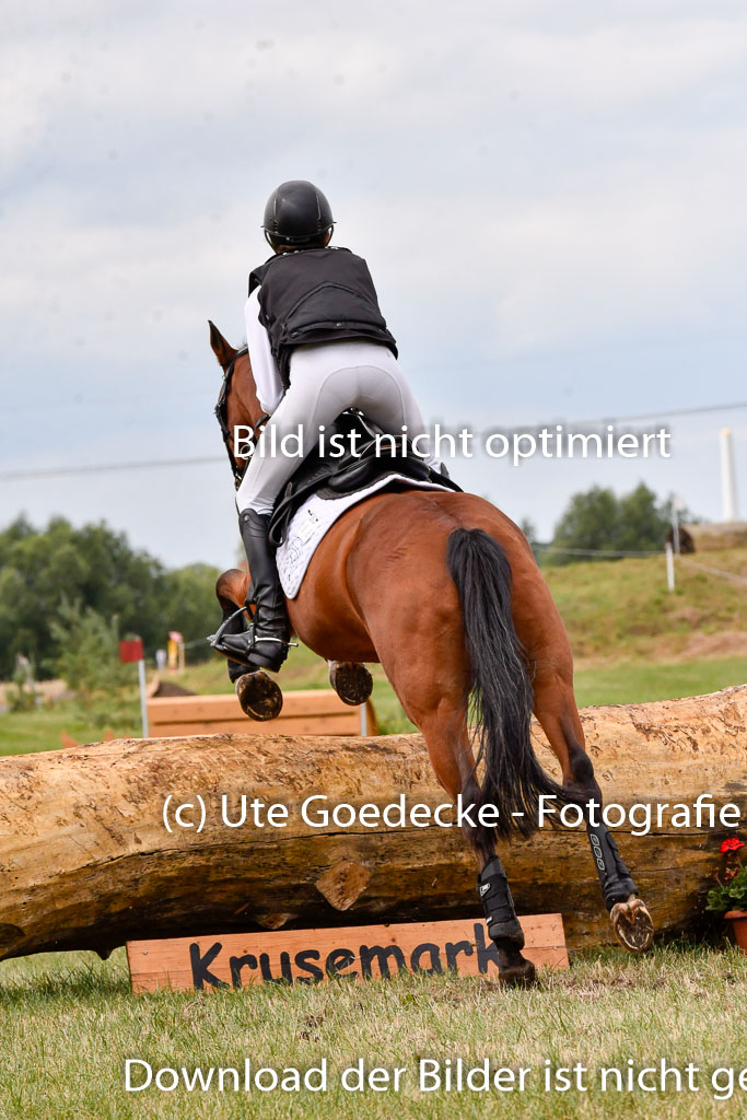 Goldene Schärpe Ponys in Hohenberg Krusemark 2024 | 13072024 Gelände 1 Abt_642