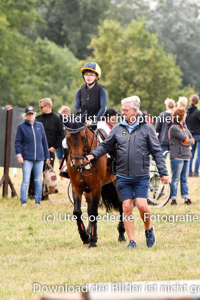 Goldene Schärpe Ponys in Hohenberg Krusemark 2024 | 13072024 Gelände 1 Abt_643