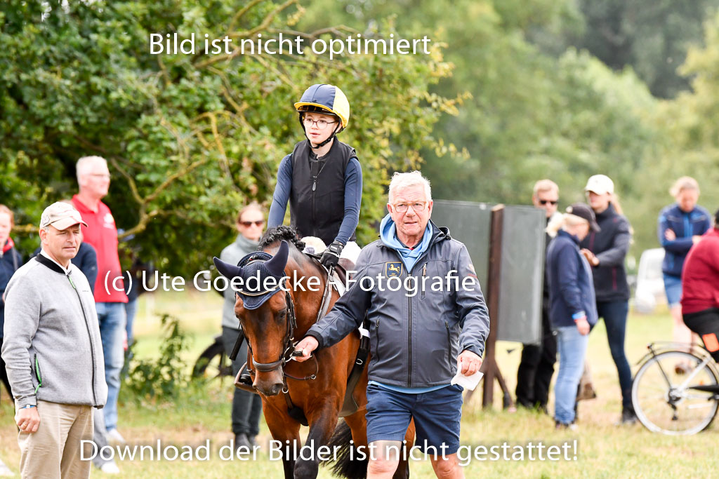 Goldene Schärpe Ponys in Hohenberg Krusemark 2024 | 13072024 Gelände 1 Abt_644