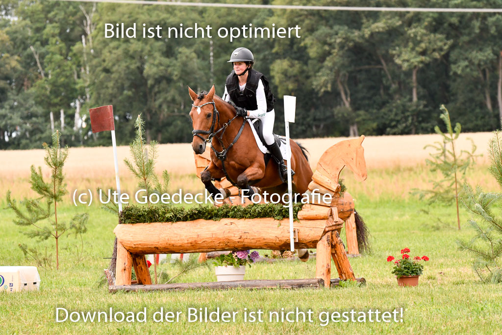 Goldene Schärpe Ponys in Hohenberg Krusemark 2024 | 13072024 Gelände 1 Abt_645