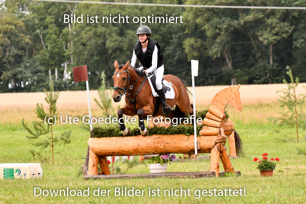 Goldene Schärpe Ponys in Hohenberg Krusemark 2024 | 13072024 Gelände 1 Abt_646