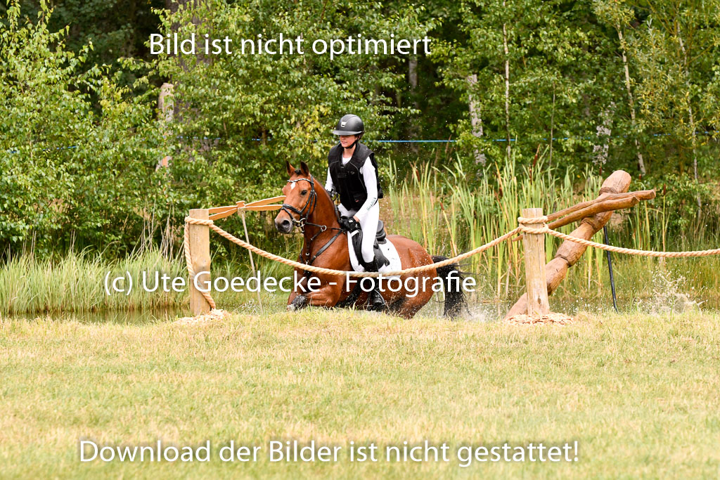 Goldene Schärpe Ponys in Hohenberg Krusemark 2024 | 13072024 Gelände 1 Abt_647