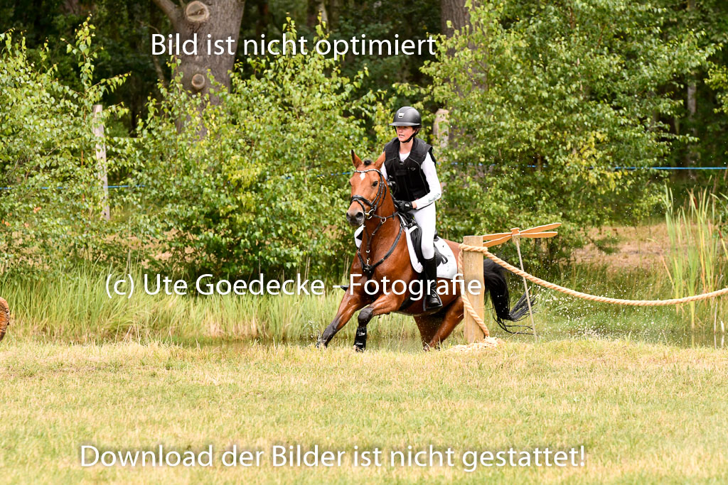 Goldene Schärpe Ponys in Hohenberg Krusemark 2024 | 13072024 Gelände 1 Abt_648