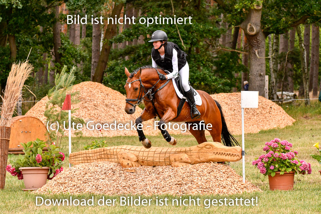 Goldene Schärpe Ponys in Hohenberg Krusemark 2024 | 13072024 Gelände 1 Abt_649