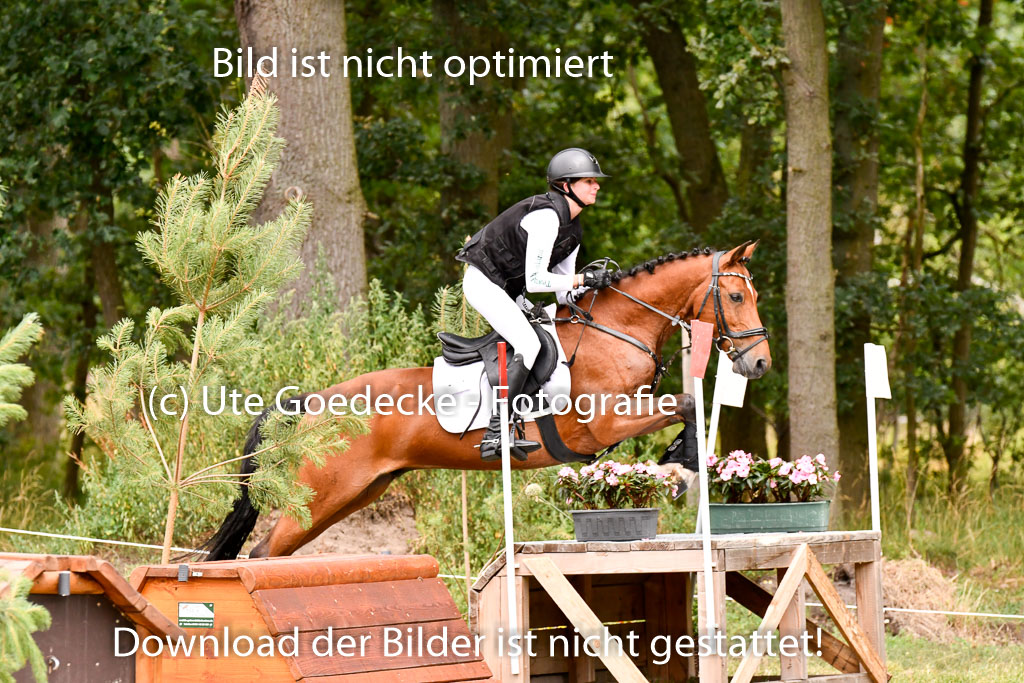 Goldene Schärpe Ponys in Hohenberg Krusemark 2024 | 13072024 Gelände 1 Abt_650