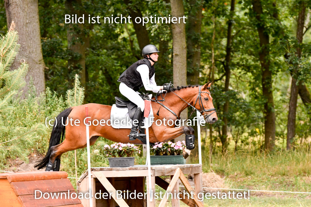 Goldene Schärpe Ponys in Hohenberg Krusemark 2024 | 13072024 Gelände 1 Abt_651