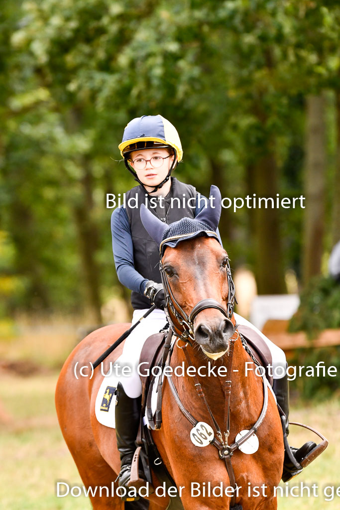 Goldene Schärpe Ponys in Hohenberg Krusemark 2024 | 13072024 Gelände 1 Abt_652