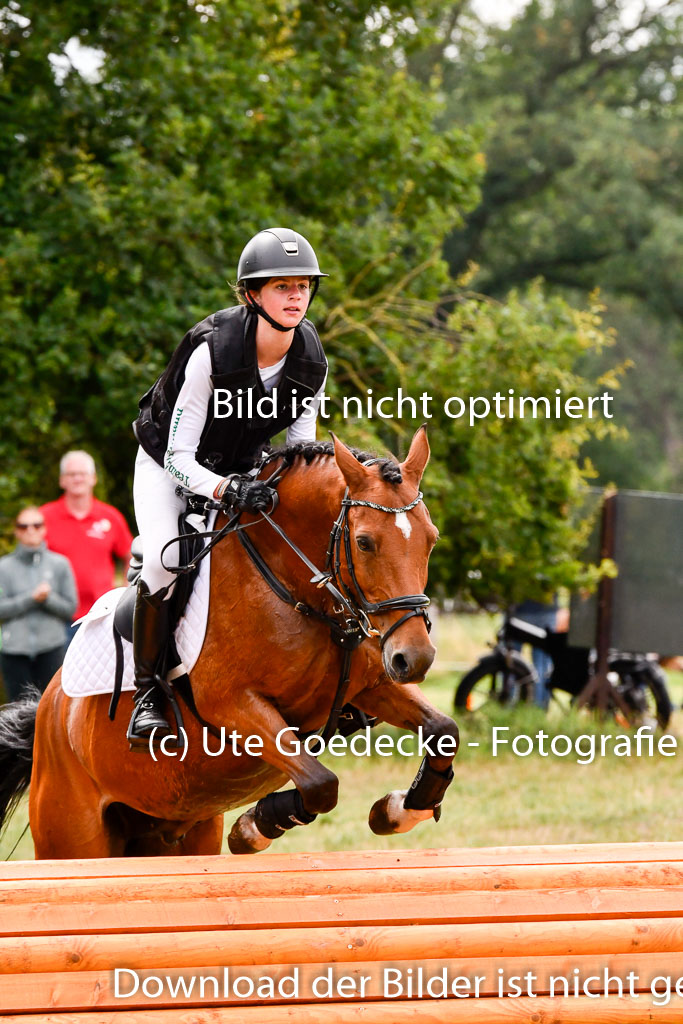 Goldene Schärpe Ponys in Hohenberg Krusemark 2024 | 13072024 Gelände 1 Abt_653