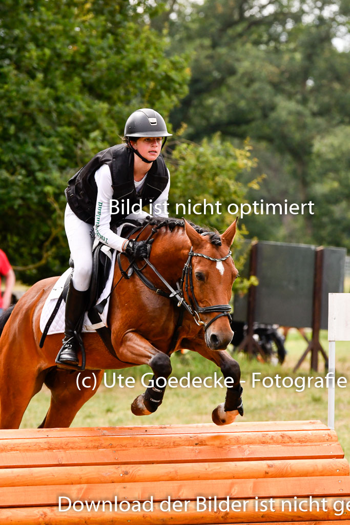 Goldene Schärpe Ponys in Hohenberg Krusemark 2024 | 13072024 Gelände 1 Abt_654