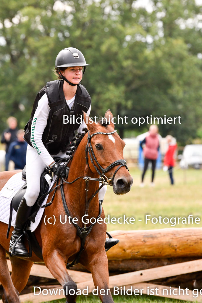 Goldene Schärpe Ponys in Hohenberg Krusemark 2024 | 13072024 Gelände 1 Abt_655