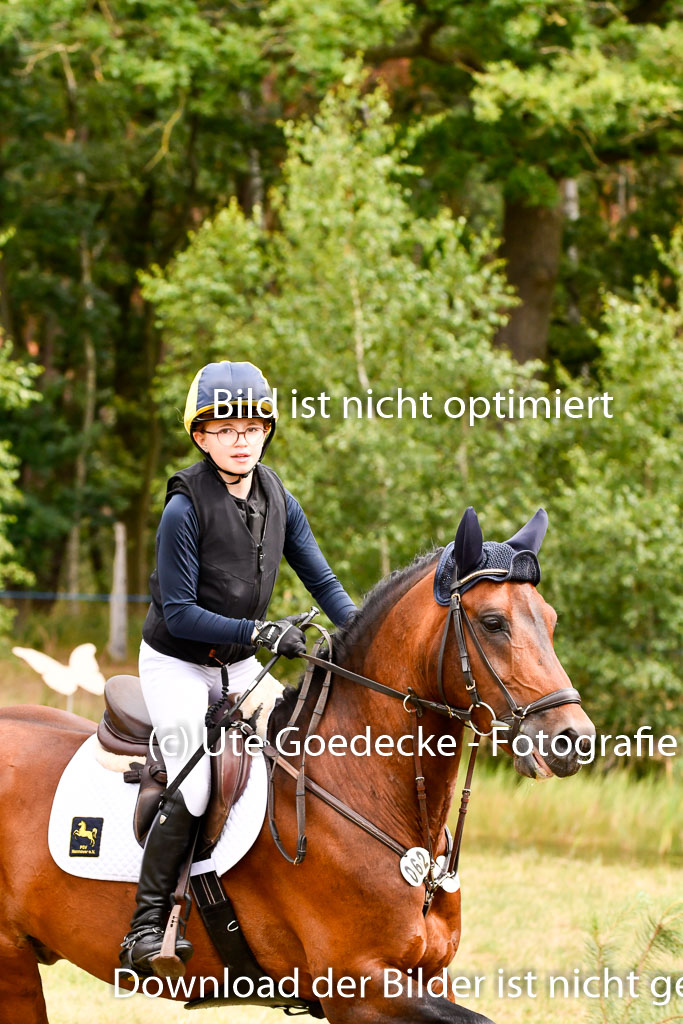 Goldene Schärpe Ponys in Hohenberg Krusemark 2024 | 13072024 Gelände 1 Abt_657