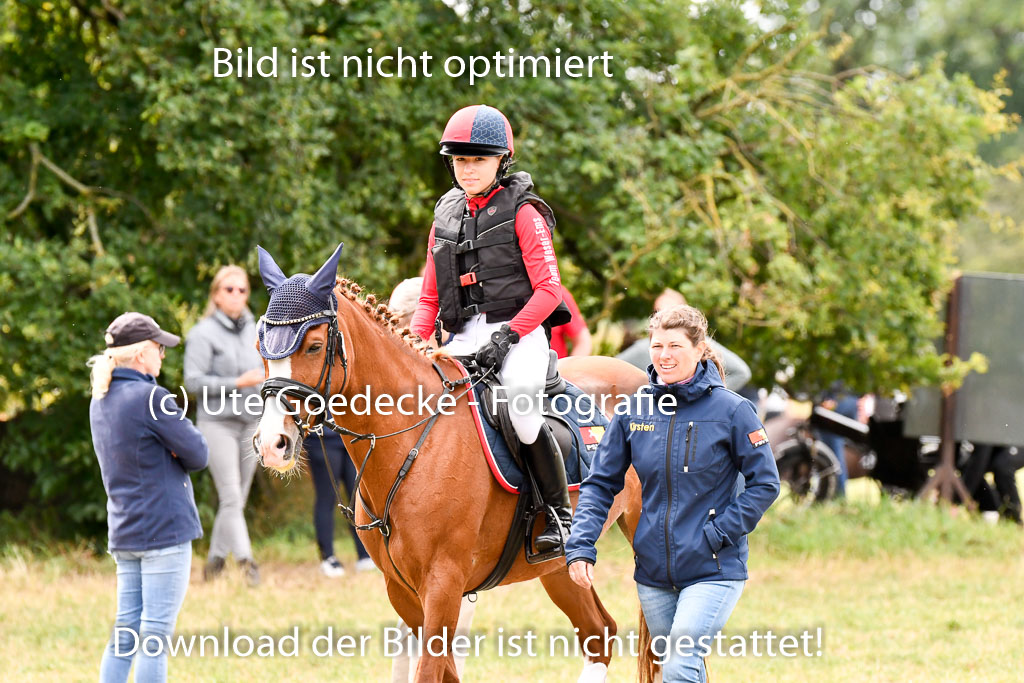 Goldene Schärpe Ponys in Hohenberg Krusemark 2024 | 13072024 Gelände 1 Abt_659