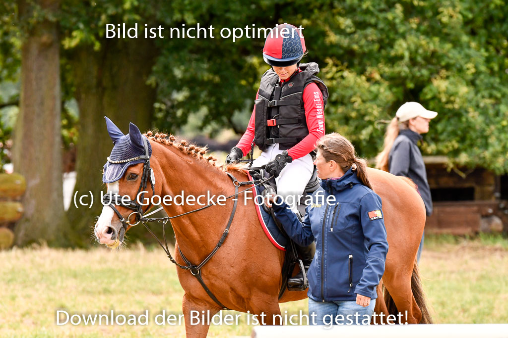 Goldene Schärpe Ponys in Hohenberg Krusemark 2024 | 13072024 Gelände 1 Abt_660