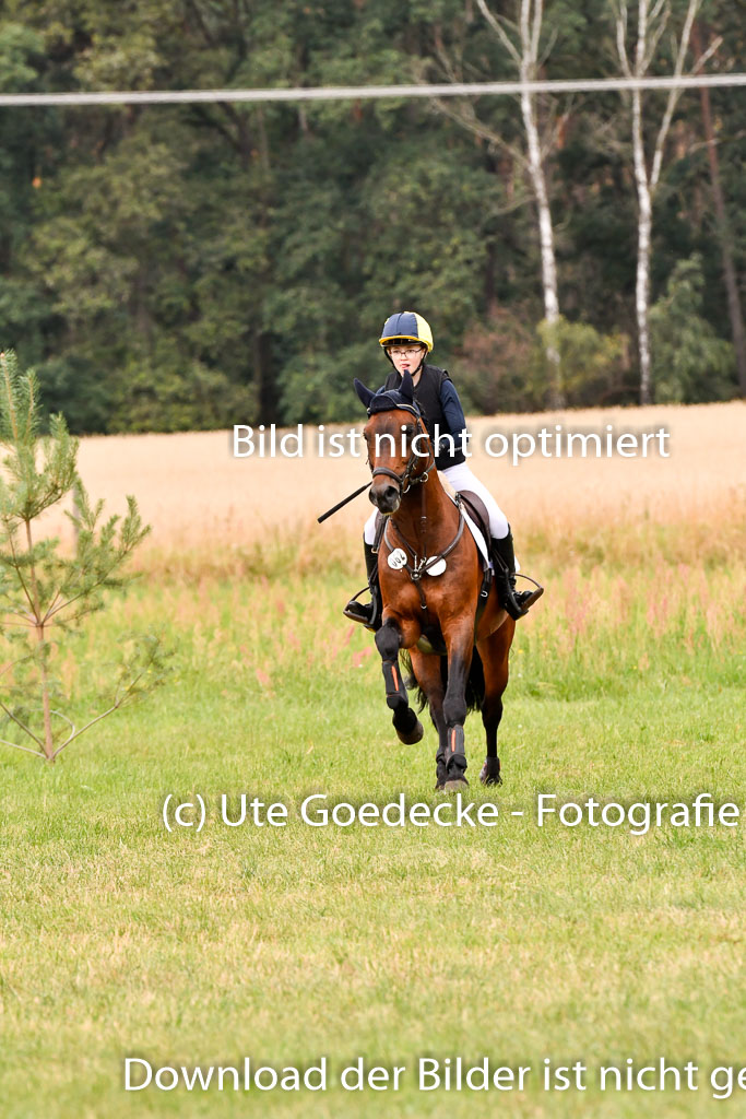 Goldene Schärpe Ponys in Hohenberg Krusemark 2024 | 13072024 Gelände 1 Abt_661