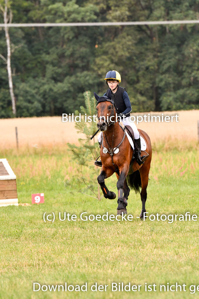 Goldene Schärpe Ponys in Hohenberg Krusemark 2024 | 13072024 Gelände 1 Abt_662