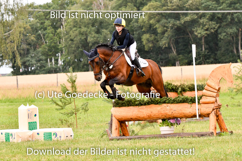 Goldene Schärpe Ponys in Hohenberg Krusemark 2024 | 13072024 Gelände 1 Abt_663
