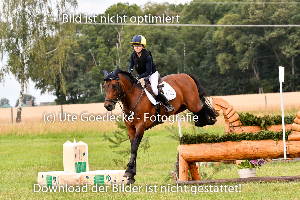 Goldene Schärpe Ponys in Hohenberg Krusemark 2024 | 13072024 Gelände 1 Abt_664