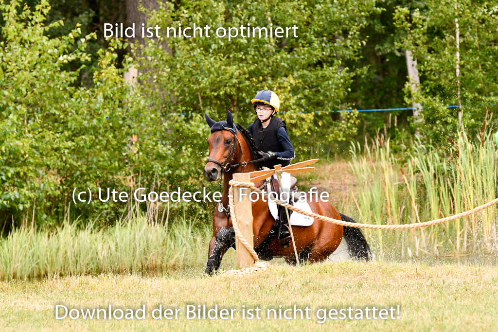 Goldene Schärpe Ponys in Hohenberg Krusemark 2024 | 13072024 Gelände 1 Abt_665
