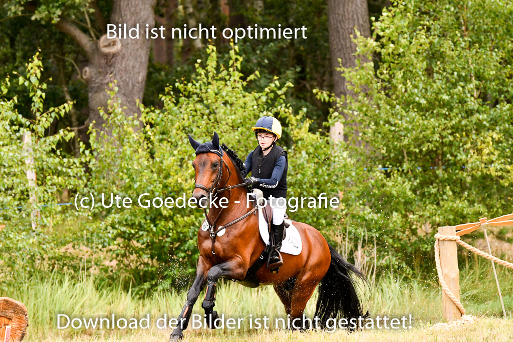 Goldene Schärpe Ponys in Hohenberg Krusemark 2024 | 13072024 Gelände 1 Abt_667