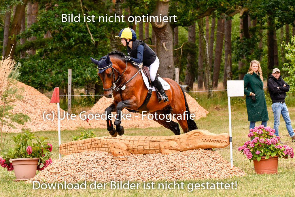Goldene Schärpe Ponys in Hohenberg Krusemark 2024 | 13072024 Gelände 1 Abt_668