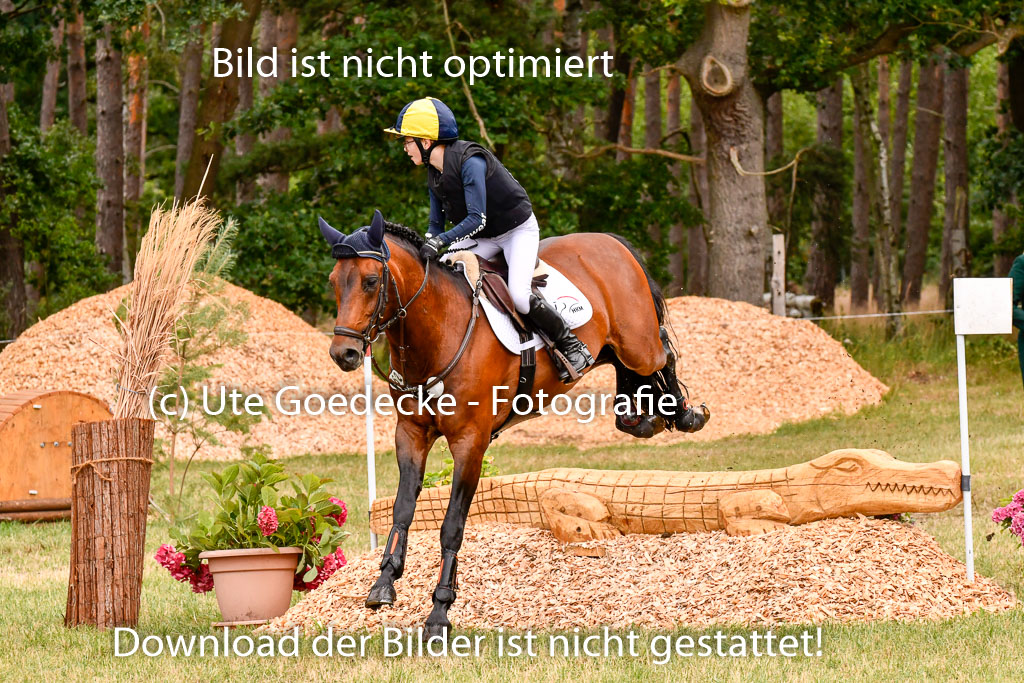 Goldene Schärpe Ponys in Hohenberg Krusemark 2024 | 13072024 Gelände 1 Abt_669