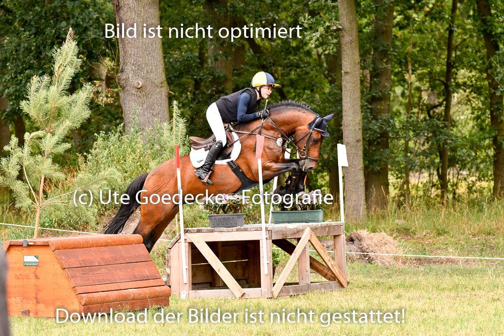 Goldene Schärpe Ponys in Hohenberg Krusemark 2024 | 13072024 Gelände 1 Abt_670