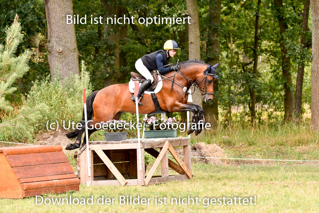 Goldene Schärpe Ponys in Hohenberg Krusemark 2024 | 13072024 Gelände 1 Abt_671