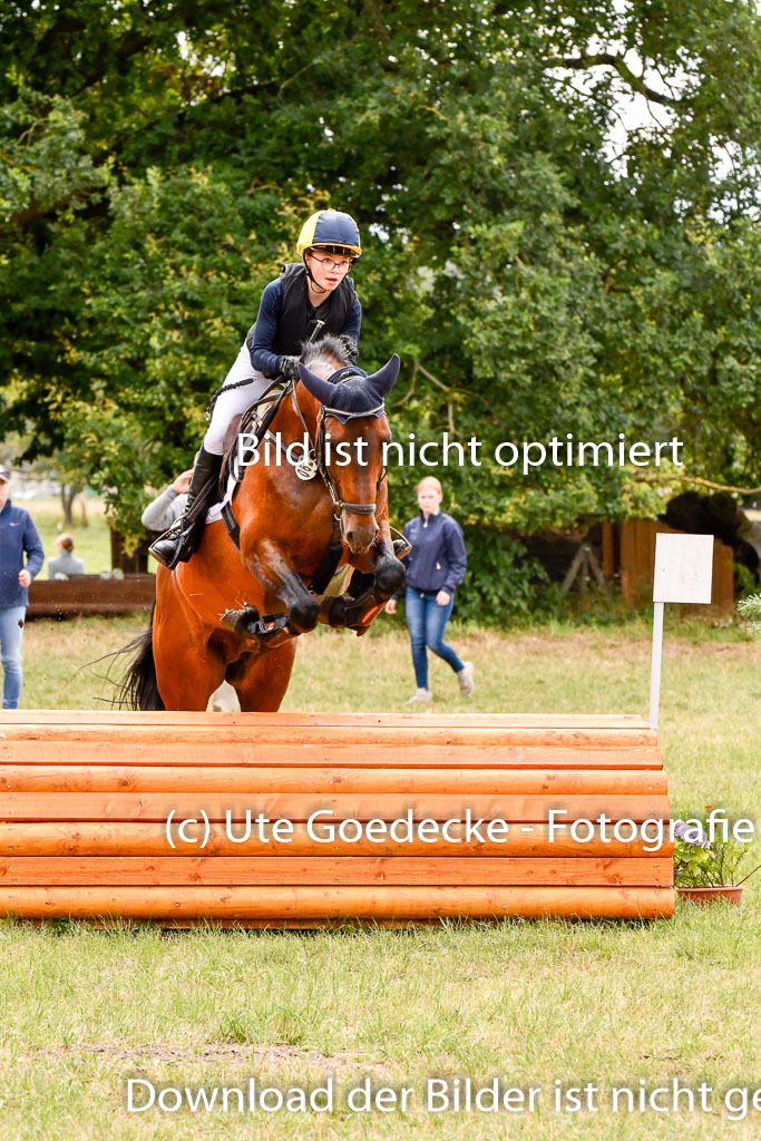 Goldene Schärpe Ponys in Hohenberg Krusemark 2024 | 13072024 Gelände 1 Abt_672