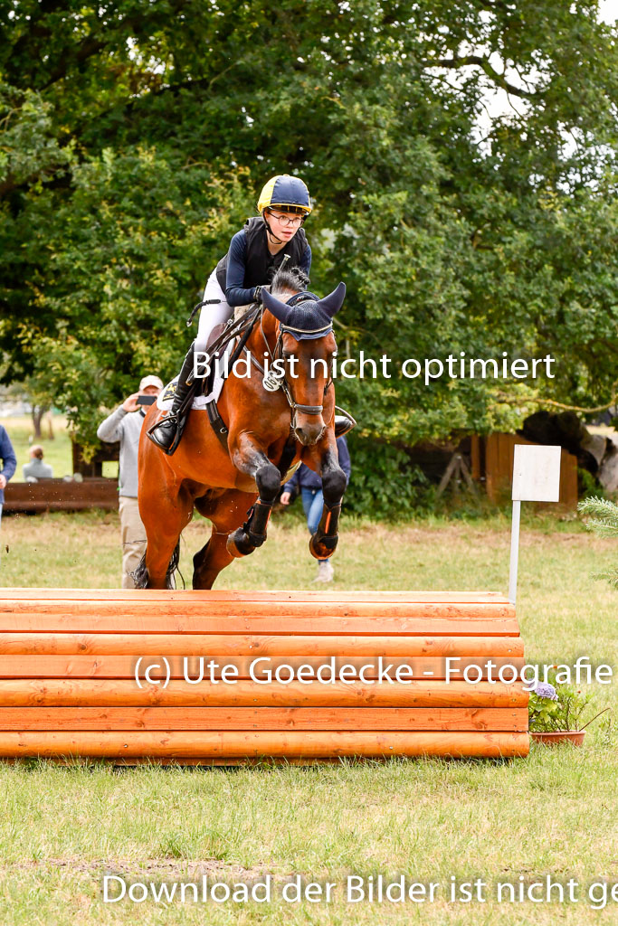 Goldene Schärpe Ponys in Hohenberg Krusemark 2024 | 13072024 Gelände 1 Abt_673