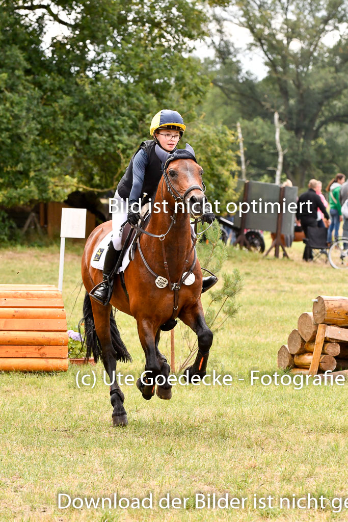Goldene Schärpe Ponys in Hohenberg Krusemark 2024 | 13072024 Gelände 1 Abt_676