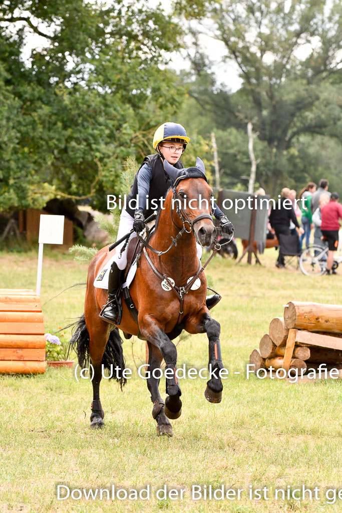 Goldene Schärpe Ponys in Hohenberg Krusemark 2024 | 13072024 Gelände 1 Abt_677