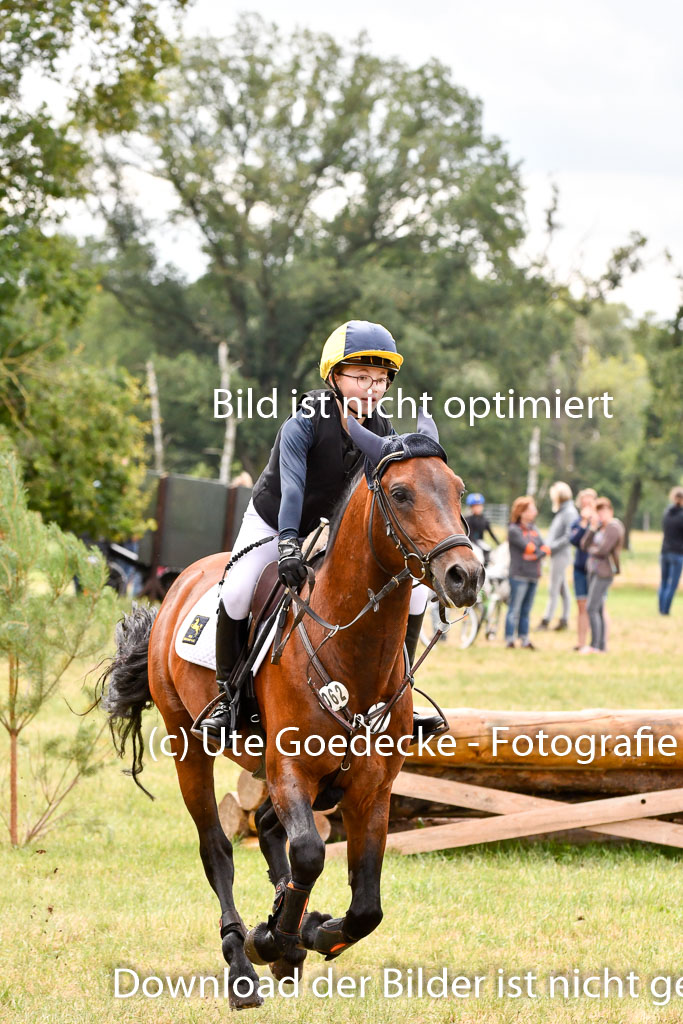 Goldene Schärpe Ponys in Hohenberg Krusemark 2024 | 13072024 Gelände 1 Abt_678