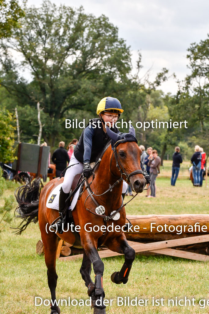 Goldene Schärpe Ponys in Hohenberg Krusemark 2024 | 13072024 Gelände 1 Abt_679