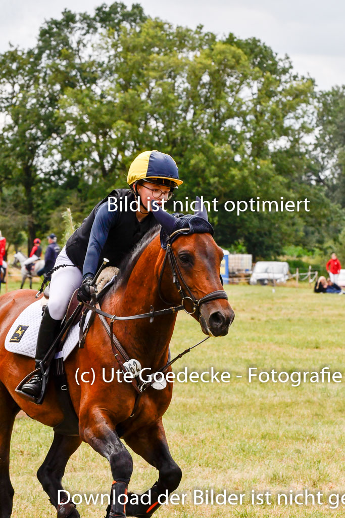 Goldene Schärpe Ponys in Hohenberg Krusemark 2024 | 13072024 Gelände 1 Abt_680
