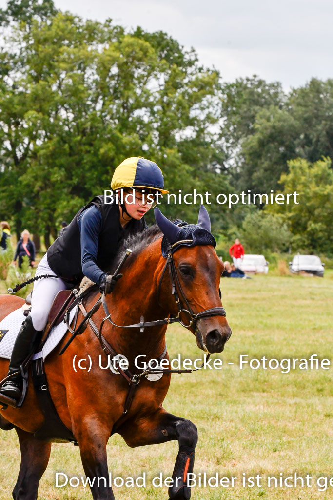 Goldene Schärpe Ponys in Hohenberg Krusemark 2024 | 13072024 Gelände 1 Abt_681