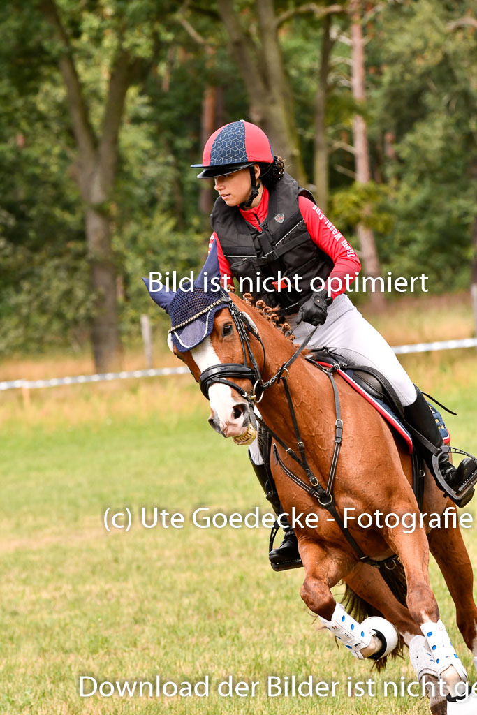 Goldene Schärpe Ponys in Hohenberg Krusemark 2024 | 13072024 Gelände 1 Abt_682