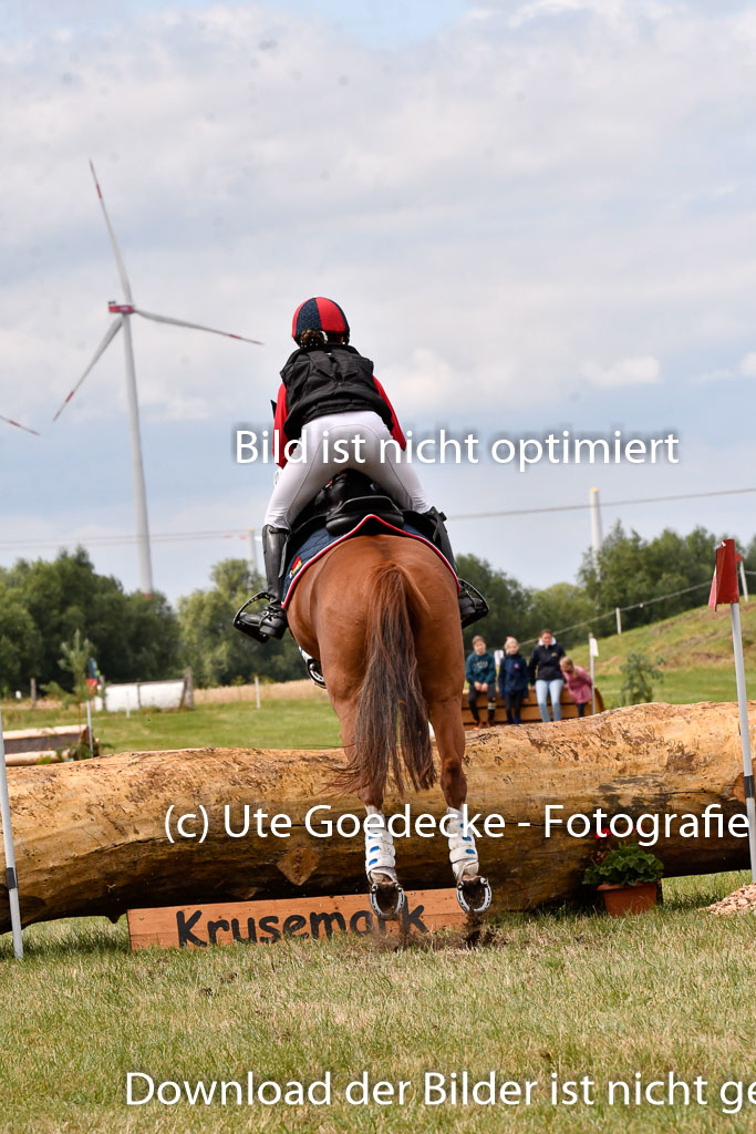 Goldene Schärpe Ponys in Hohenberg Krusemark 2024 | 13072024 Gelände 1 Abt_683