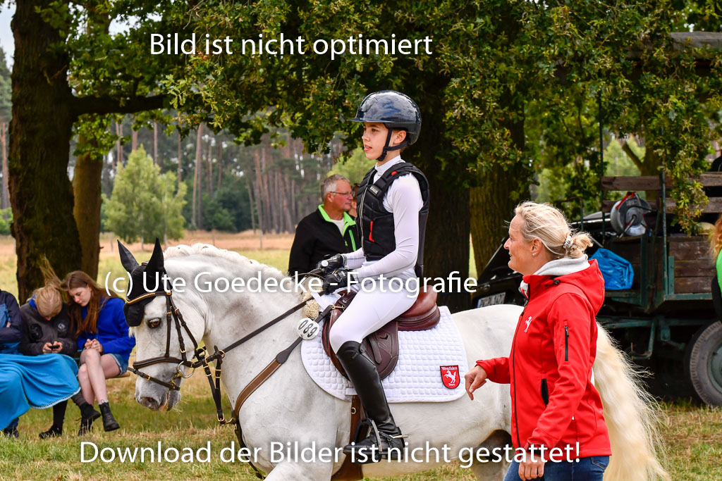Goldene Schärpe Ponys in Hohenberg Krusemark 2024 | 13072024 Gelände 1 Abt_684